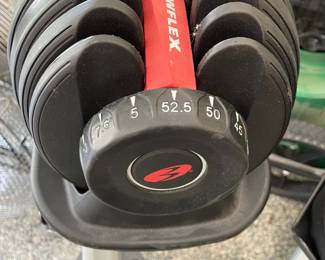Bowflex Adjustable Weight Set