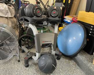 Bowflex Adjustable Weight Set
