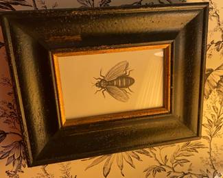 In this photo you can clearly see the bee's knees.