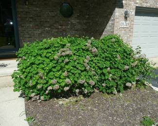 For prices & info copy and paste this link: https://beforeudemo.com/sales-event/elmhurst-like-new-2400-s-f-house-demolition-sale/