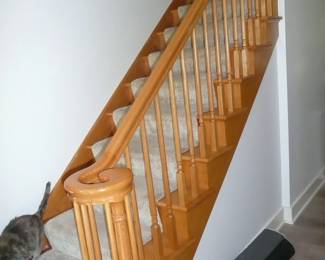 For prices & info copy and paste this link: https://beforeudemo.com/sales-event/elmhurst-like-new-2400-s-f-house-demolition-sale/