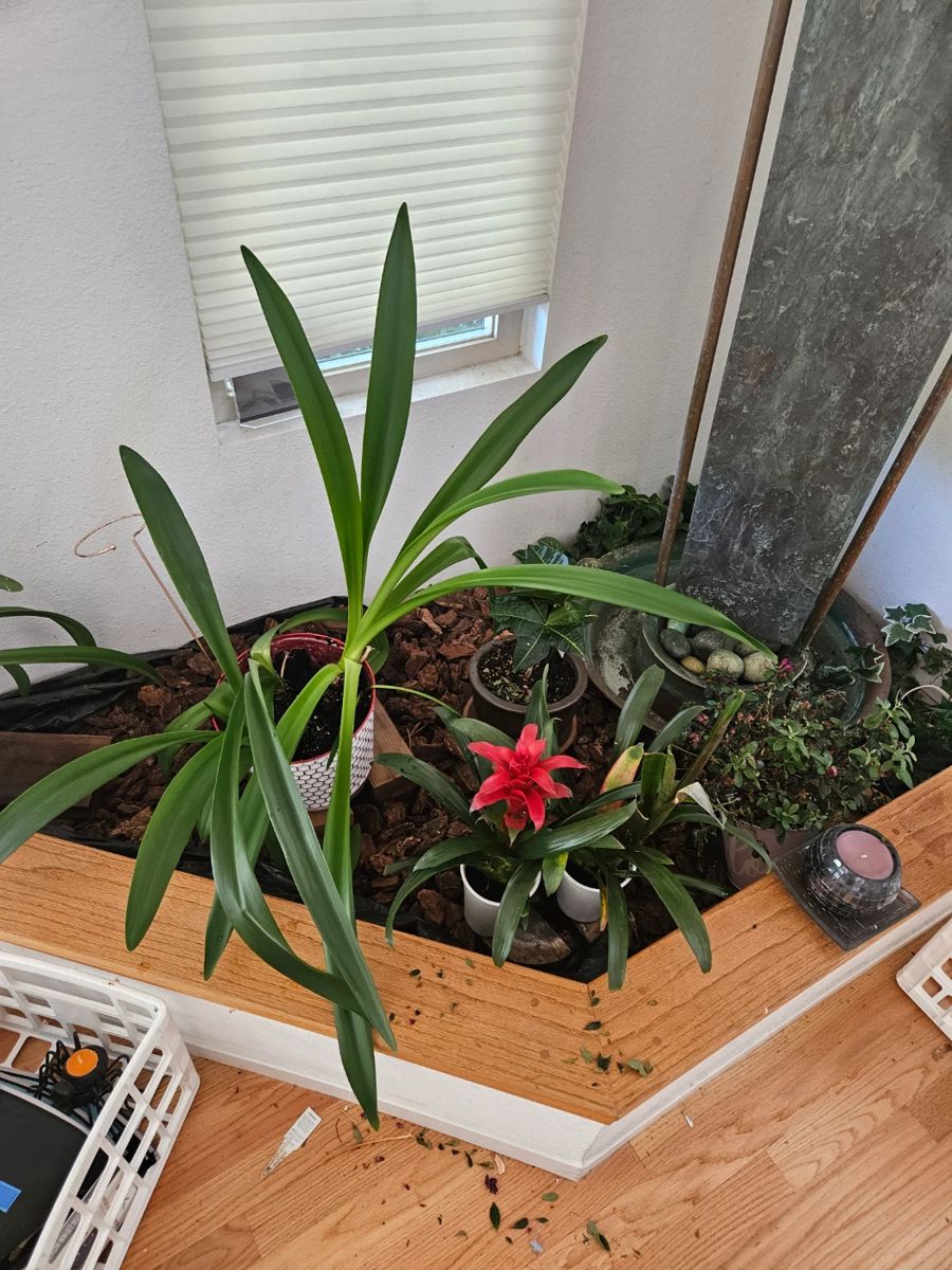 Miraloma sale in Hidden Valley, NV starts on 6/8/2024