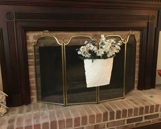 Fireplace screen