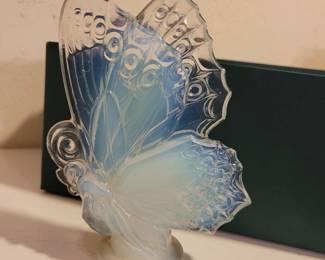 Large Sabino Butterfly