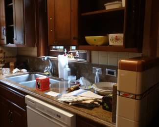 another  view  of  kitchen