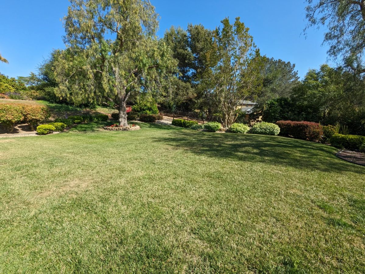 Come and enjoy this view!