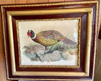 LARGE FRAMED PHEASANT PRINT