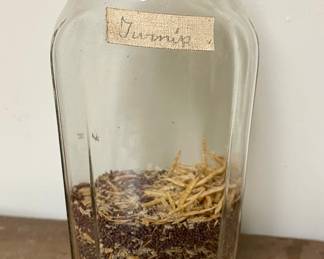 ANTIQUE JAR - TURNIP SEEDS