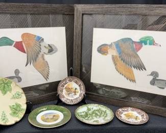 CT421Whats The Mallard With You