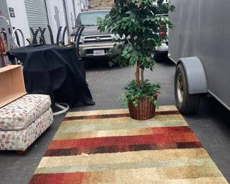 CT501Colorful Rug And Plant
