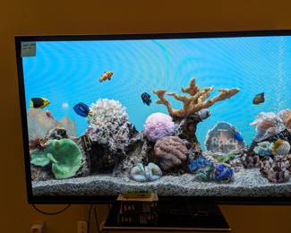 Plasma TV I bet you thought it was a fish tank !