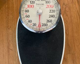 Taylor Professional Scale
