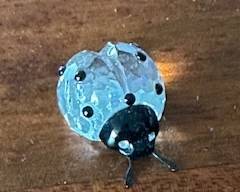 Ladybug