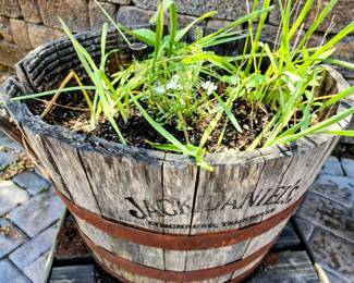 Jack Daniels Planter (As Is)