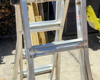 Folding Ladder