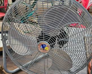 FAN