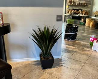 This one is a favorite.