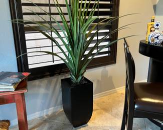 Add some of these beautiful plants that would look good in any style home.