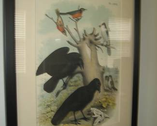 Theodore Jasper framed bird art