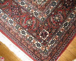 Close-up of Oriental area rug (8' x 10')