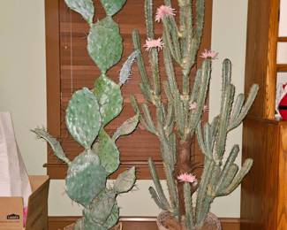 Faux cactus 