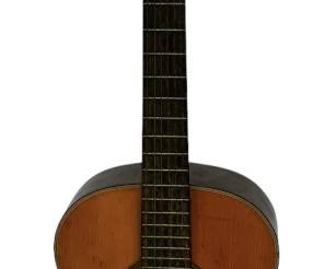 Acoustic Guitar
