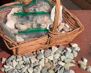 A basket of shells and rocks