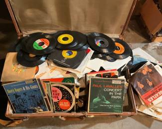 Suitcase Full Of 45s From Johnny Cash, Ike  Tina To Classic Music In The Park