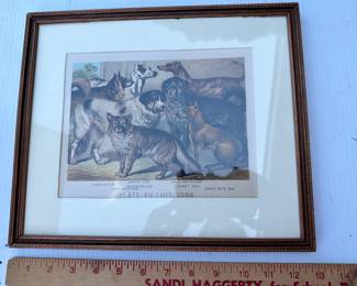 Dogs Print Framed $18.00