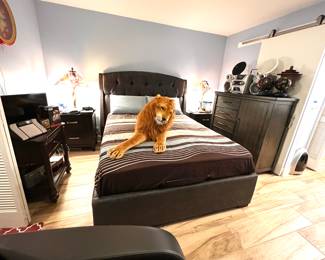Mattress SOLD - Lion SOLD 