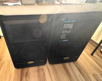 Samson Speakers 