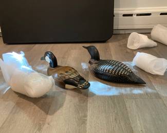 DECOYS