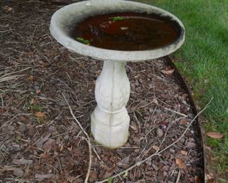 Bird Bath