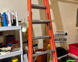 aluminum ladder