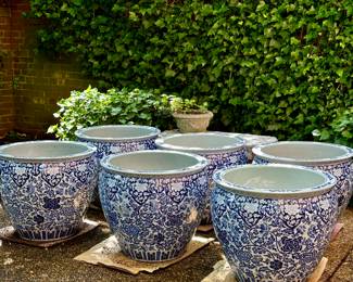 Fishbowl Courtyard Blue & White Planters
