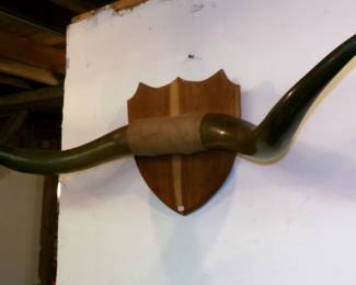 Mounted Steer Horns