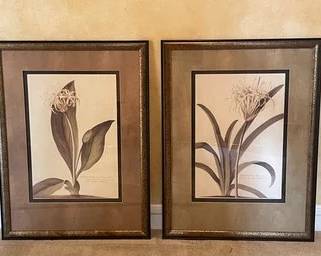 Lot Of 2 Bombay Company Floral Paintings B1