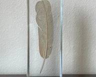 Vintage Crystal Paper Weight With Gold Feather L120