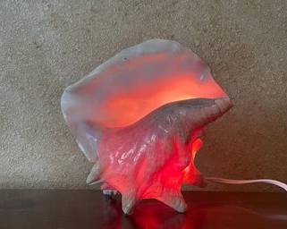 Conch Shell Night Light