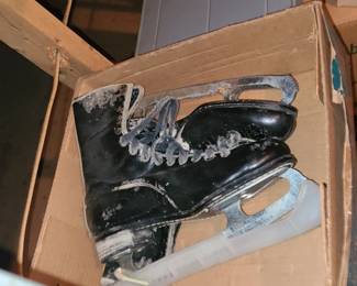 Boys and Girls Ice Skates 