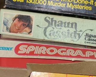 Shaun Cassidy! 