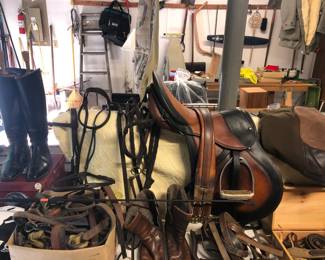 Steuben Saddle & Equestrian Items