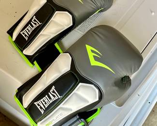 Evilest Boxing Gloves