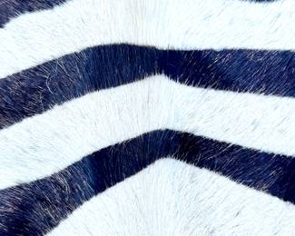 Zebra Skin Rug