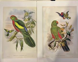 Large Variety of Art Prints and Paintings