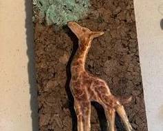 giraffecorkart