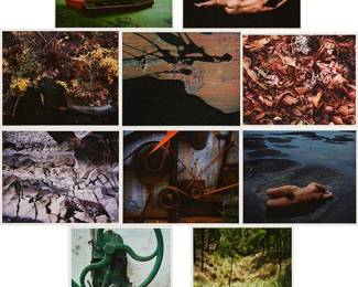 117
Cole Weston
1919-2003
"Think Of Color As Form" Portfolio, 1983-88
Each: Cibachrome prints in colors on paper laid to a board mount as issued
Edition: 6/25
The complete portfolio of 10 cibachrome prints, each signed and dated in pencil on the mount, at right: Cole Weston; dated again, titled, and inscribed with the inventory number, in pencil, and with the artist's copyright black ink stamps, all verso; with the original title page, signed again and numbered in black permanent marker at the lower edge; the title page and 10 works all loose and with the original interleaving sheets; together in the original linen-covered portfolio box
Image/Sheet of each: 15.25" H x 19.5" W (or reverse); Mount of each: 22" H x 28" W
Estimate: $1,500 - $2,000