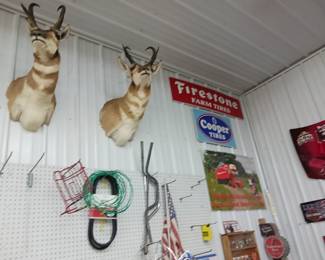 Antelope mounts