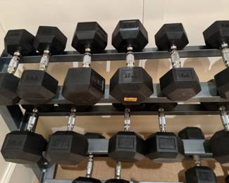 Rubber hex dumbbell  set and stand FREE with purchase of Vectra home gym
