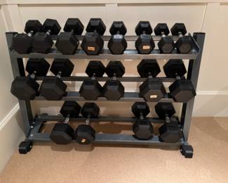 Rubber hex dumbbell  set and stand FREE with purchase of Vectra home gym